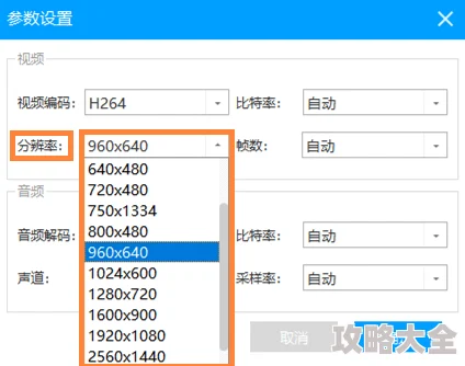 视频分辨率转换器正在转换分辨率预计剩余时间30秒