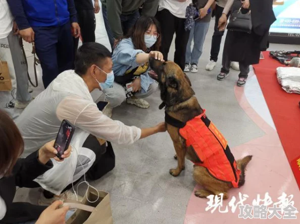 惊喜揭晓！地铁逃生击败榜新变动，榜二竟被这位神秘老外强势占据！