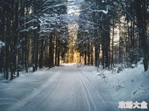 么公在果树林征服了小雪小雪成功逃脱藏身于山洞之中等待救援