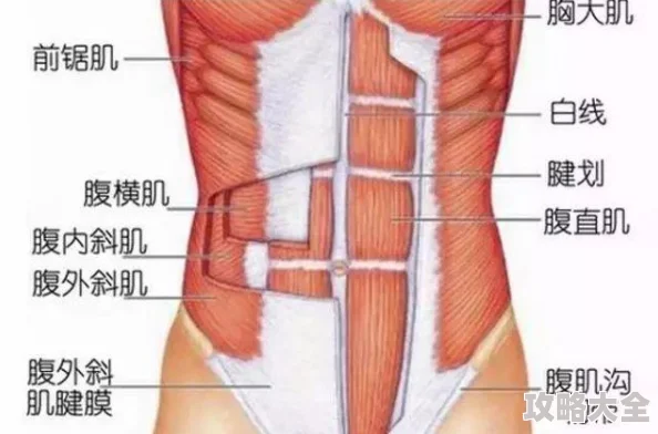 适合半夜一个人偷偷看B站软件据说某知名up主深夜直播掉马甲惊呆百万粉丝