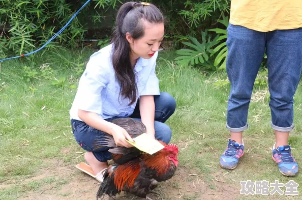 美女搞鸡直播养鸡场女主播直播抓鸡意外走红引百万网友围观