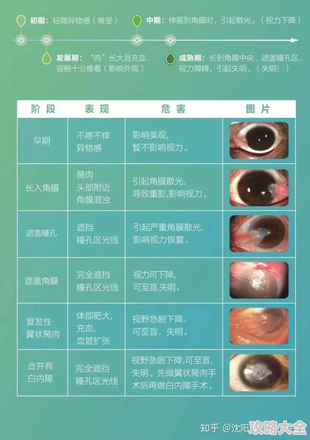 超级胬肉系统第二部进化之路开启全新篇章肉王归来