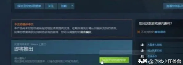 惊喜！王权与自由国际服正式命名揭晓，Steam搜不到？这里有解决之道！