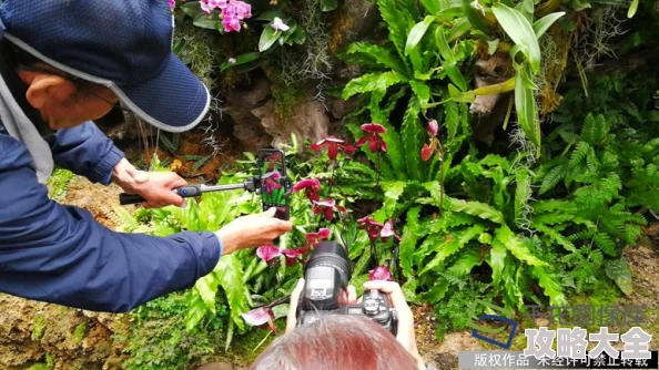 重生六零年代深山去寻宝AI智能识别植物开启致富路