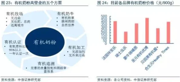 星空行政楼层任务全攻略：最新消息追踪与详细步骤深度解析