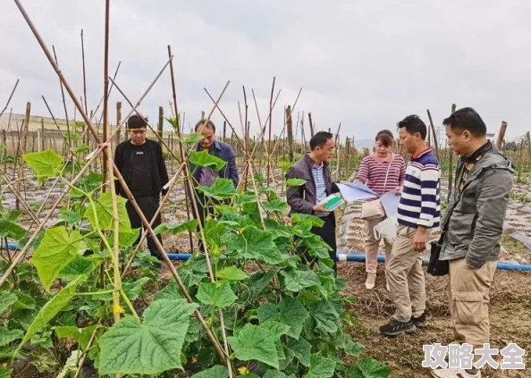 禁用软件app下载安装入口加强应用商店监管保障用户安全下载规范软件分发渠道