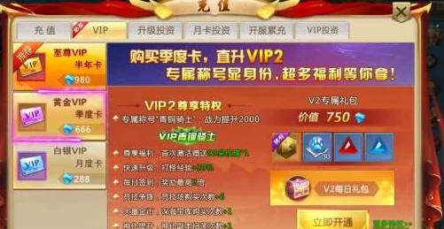 大东家VIP会员价格指南：充值优惠与划算选择