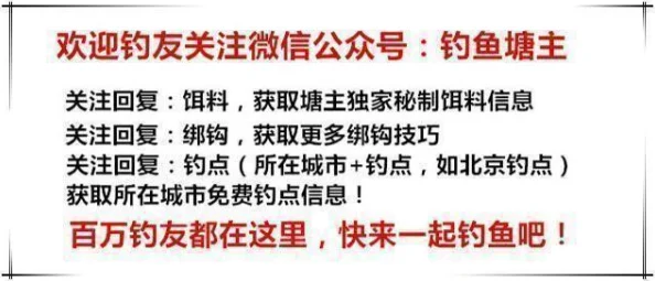 《燕云十六声钓鱼攻略详解：技巧与注意事项全解析》是一篇专门为钓鱼爱好者撰写的详细指南，旨在帮助读者掌握钓鱼的基本技巧和注意事项。本文将从选择合适的钓具、了解目标鱼类习性、掌握不同环境下的垂钓方法等方面进行深入探讨。