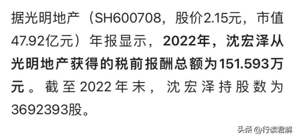 2025年王者联赛光明族英雄选择与搭配策略新解