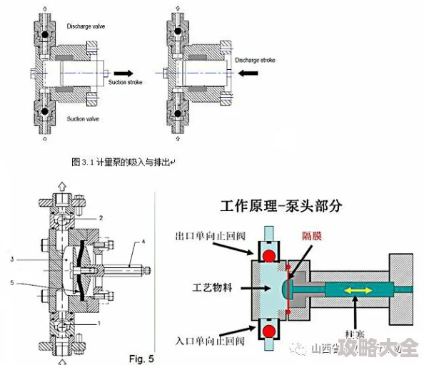 2025年另一个伊甸水锤全面玩法解析与技能伤害一览