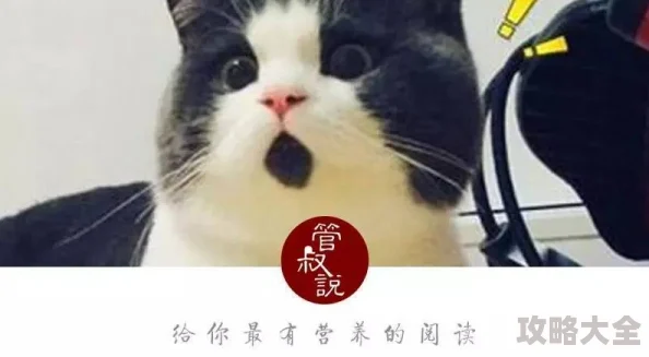 咪莫小猫猫在神秘警局中的奇妙探索之旅