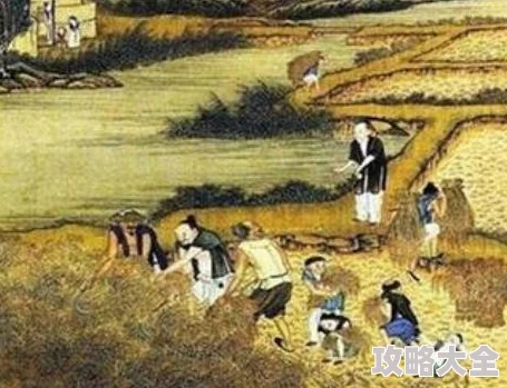 三国志战棋版12选1精英策略：全面解析十二选一攻略推荐